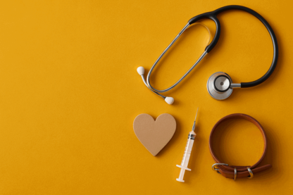 Apiam Shareholders Back $500M Adamantem Takeover in Near-Unanimous Vote