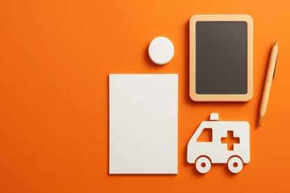 Previous Article Image