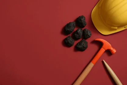 Previous Article Image