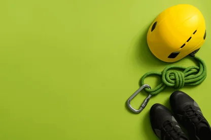 Previous Article Image