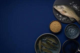 Murray Cod Australia Opens $18.6 Million Retail Entitlement Offer to Fund Biomass Conversion