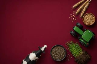 PGG Wrightson guides to higher FY27 EBITDA as New Zealand agriculture strengthens