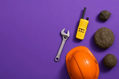 Previous Article Image