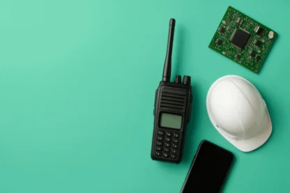 Previous Article Image