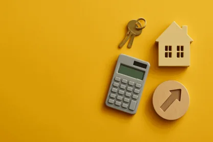 Previous Article Image