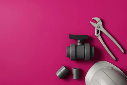 Previous Article Image