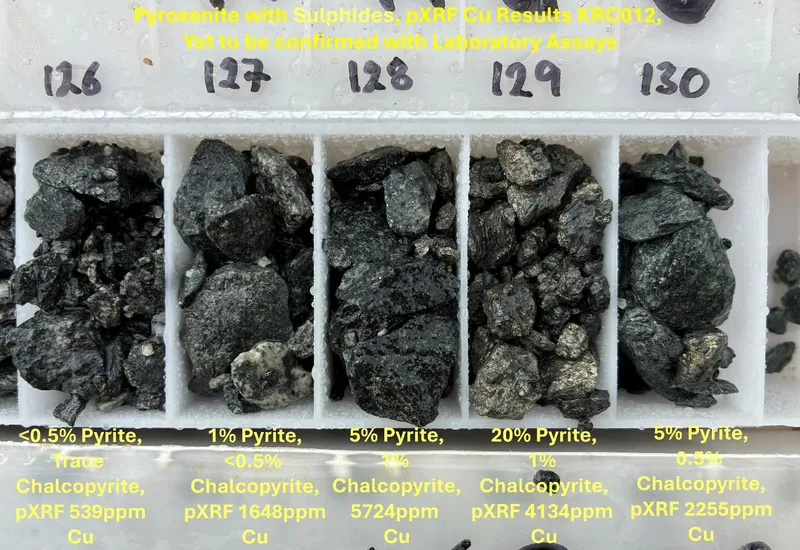 Drill metres 125-130m in hole KRC012 showing pyroxenite with sulphide alteration. Sulphide estimates and pXRF Cu results are noted in the image above