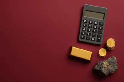 Previous Article Image