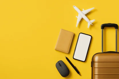 Previous Article Image