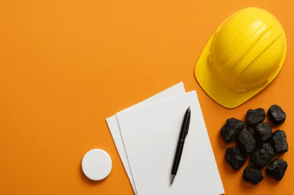 Previous Article Image