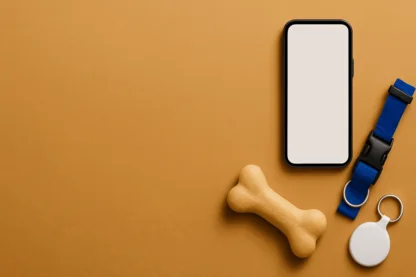 Previous Article Image