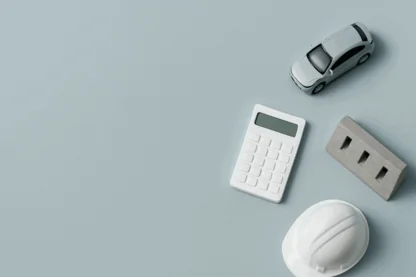 Previous Article Image