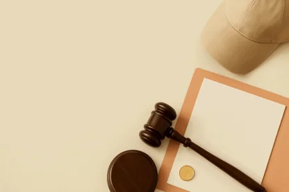 Previous Article Image