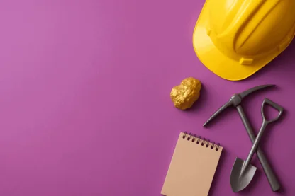 Previous Article Image