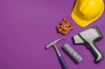 Previous Article Image