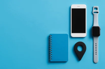 Previous Article Image