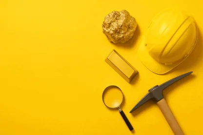 Previous Article Image