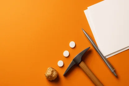 Previous Article Image