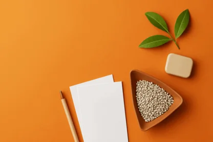 Previous Article Image