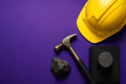 Previous Article Image