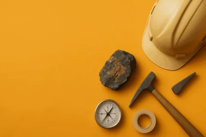 Previous Article Image