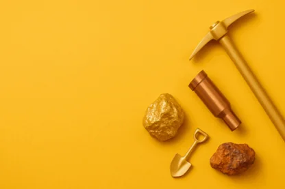 Previous Article Image