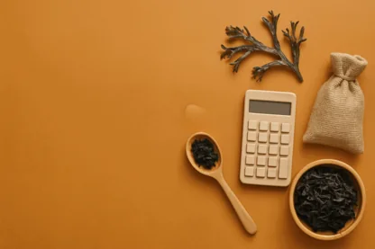 Previous Article Image