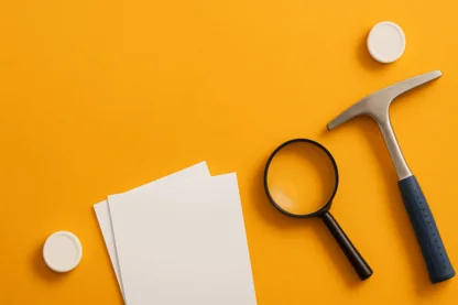 Previous Article Image