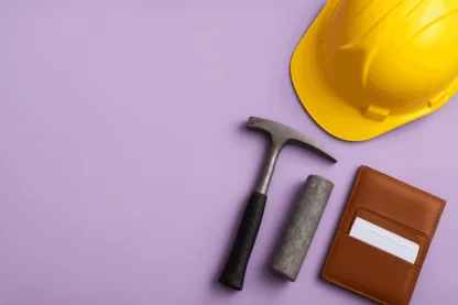 Previous Article Image