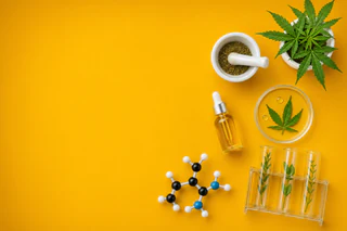 Argent BioPharma Expands Portfolio with CannPal Acquisition and Boosts EU Sales