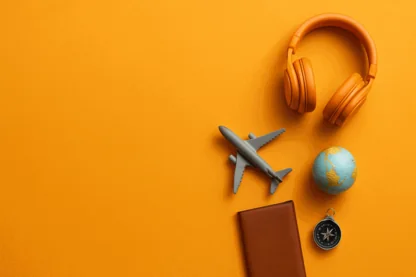 Previous Article Image