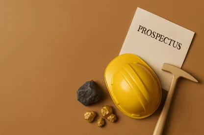 Previous Article Image