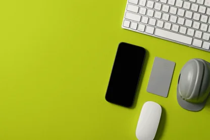 Previous Article Image