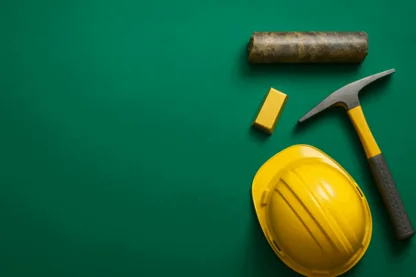 Previous Article Image