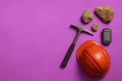 Previous Article Image