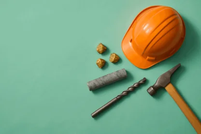 Previous Article Image