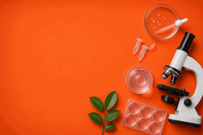 Syntara Launches $2M Share Plan at 15.6% Discount After $8M Placement
