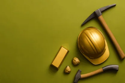 Previous Article Image