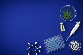 Zelira Therapeutics Secures US$33M Fundraising to Propel HOPE® 1 FDA Trials