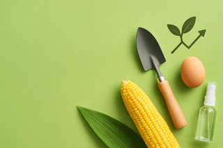 RLF AgTech Surges with 74% Revenue Growth and Strategic Market Expansion