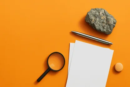 Previous Article Image