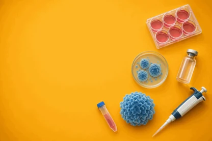 Previous Article Image