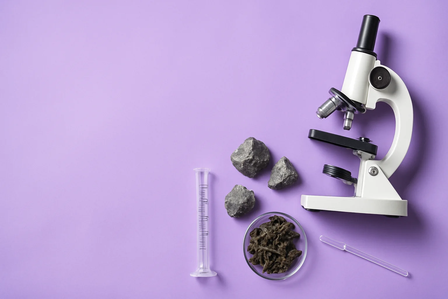 An image related to BPH GLOBAL LTD