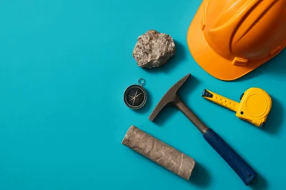 Previous Article Image