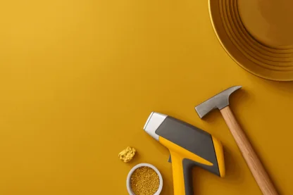 Previous Article Image