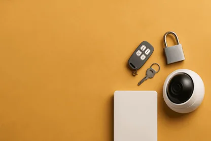 Previous Article Image