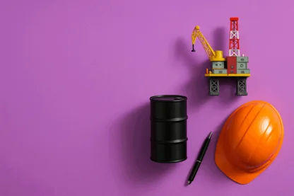 Previous Article Image