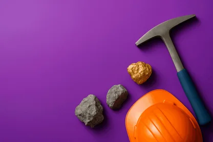 Previous Article Image