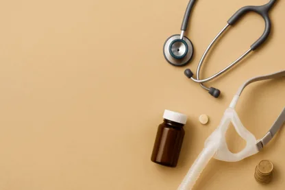 Previous Article Image