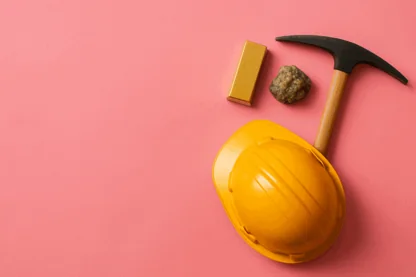 Previous Article Image